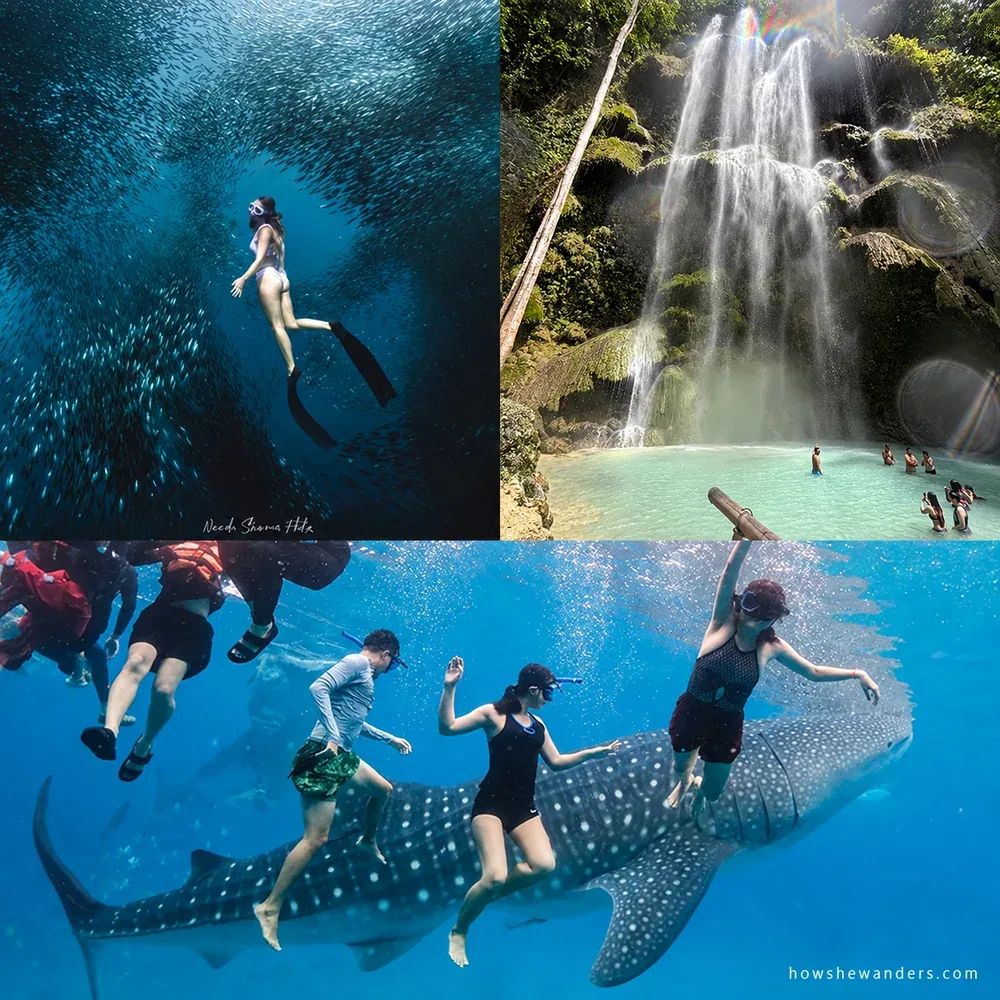 A freediver in the Moalboal sardine run, Tumalog Falls, and snorkelers with a whale shark in Oslob