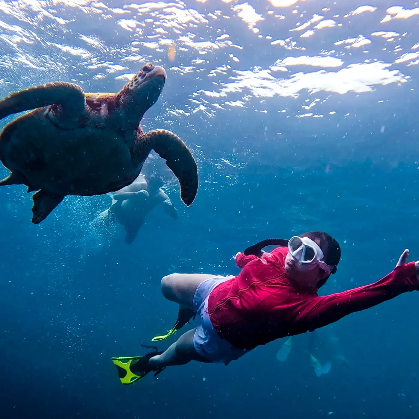 A snorkeler swimming with a sea turtle in Moalboal